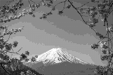 Cherry blossoms frame a view toward Mount Fuji. Dithered grayscale treatment.
