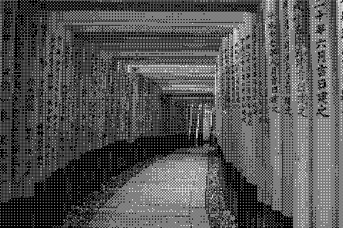 Rows of orange torii gates form a narrow passage receding into the distance. Dithered grayscale treatment.