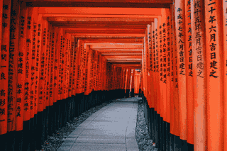 Rows of orange torii gates form a narrow passage receding into the distance.