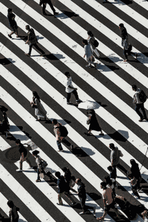People and their long shadows move across a striped pedestrian crossing seen from above.