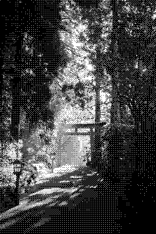 Sunlight reaches a red torii gate along a shaded forest path. Dithered grayscale treatment.