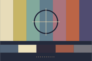 Seven muted color bars above a dark strip of calibration blocks and a centered ring.